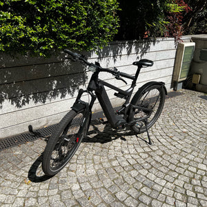 RIESE & MULLER DELITE GT VARIO