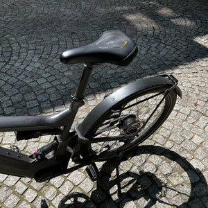 RIESE & MULLER DELITE GT VARIO